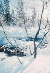 кольский мурманская лапландия заполярье зима северное сияние
