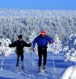 зимние туры рождество новый год мурманская область лыжи подлёдная рыбалка снегоходы