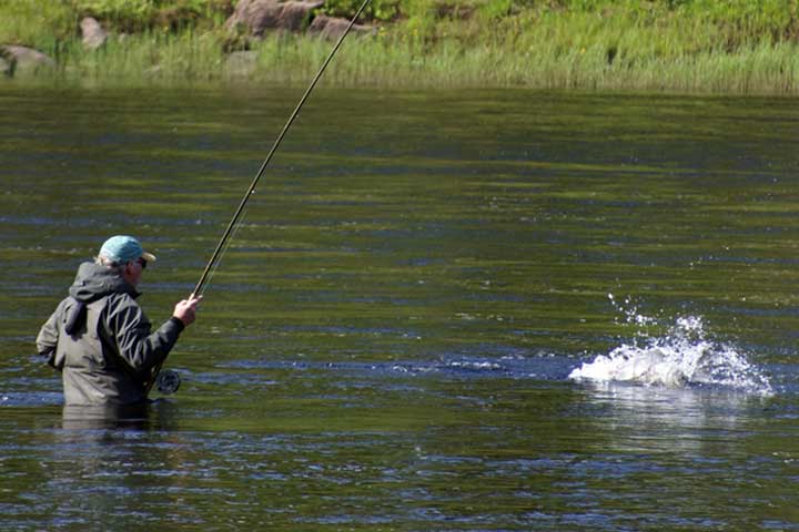 Семужья рыбалка на реке Варзуга в Мурманской области